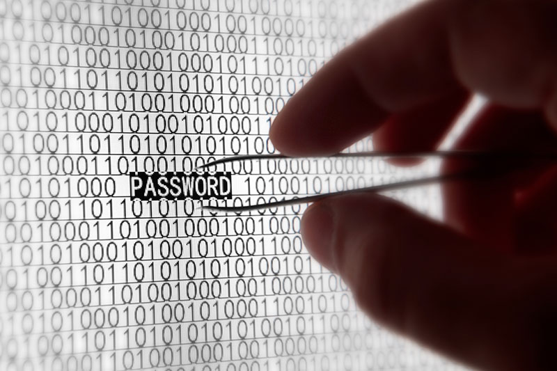 Password Protection in Minutes
